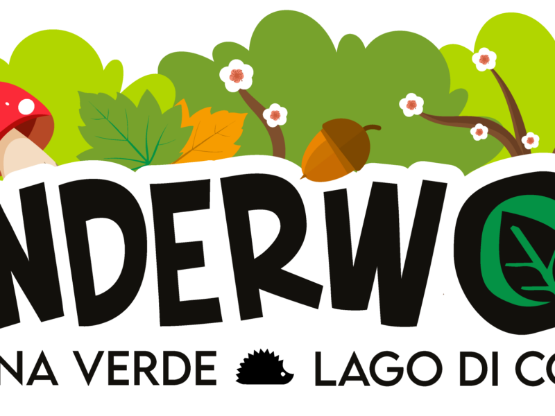 Wonderwood Logo Wondwerwood Spina Verde - Lago di Como